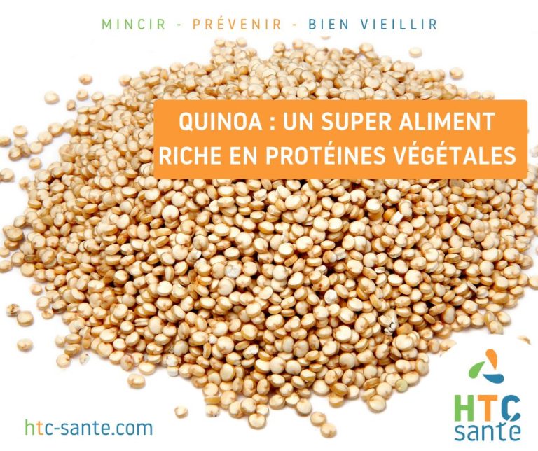 Quinoa Un Super Aliment Riche en Protéines Végétales
