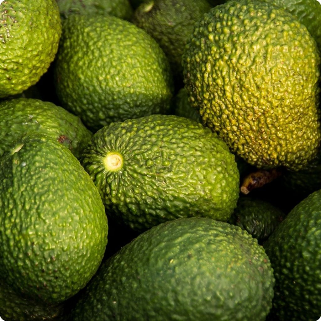 avocat - meilleurs aliments pour votre foie