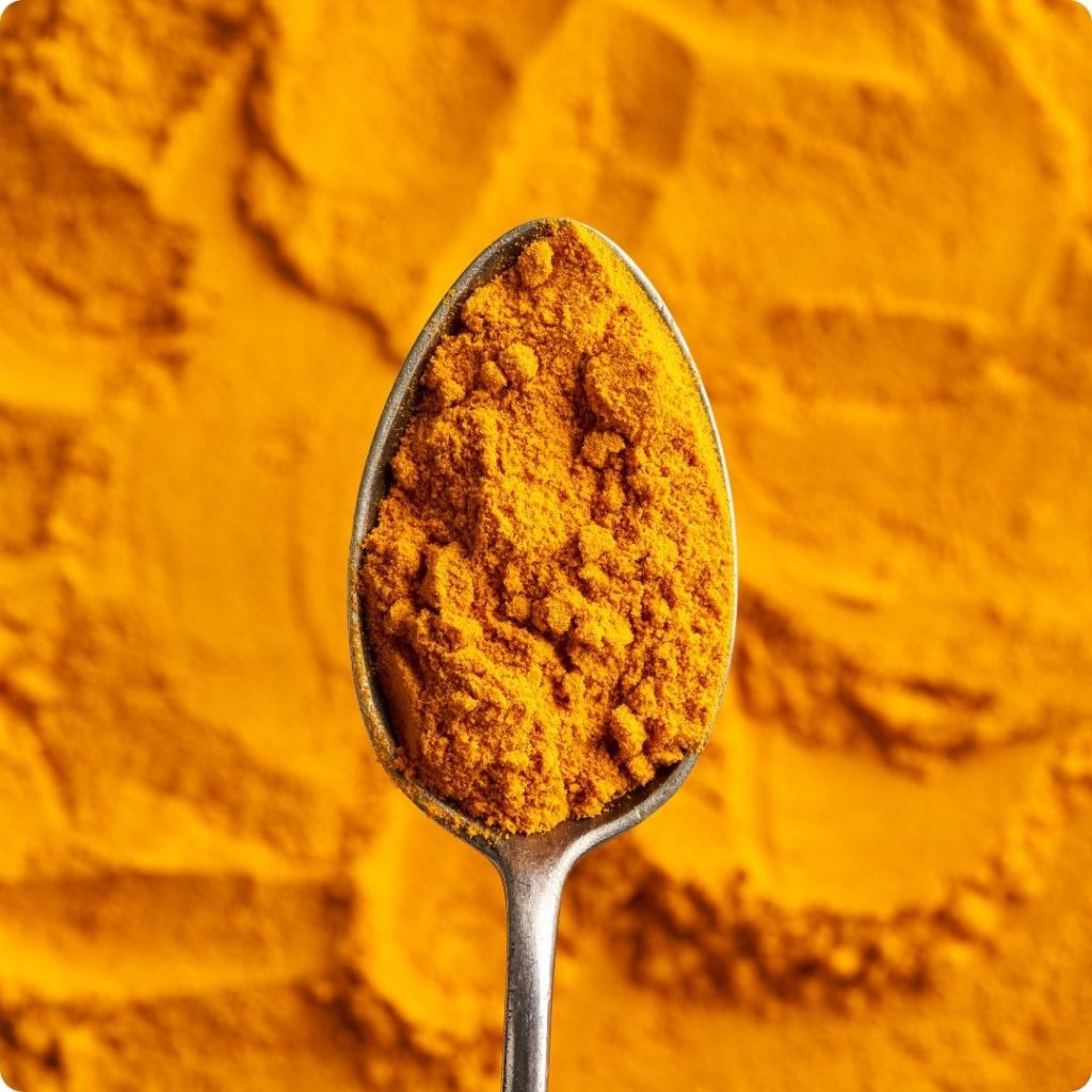 curcuma un allié du foie