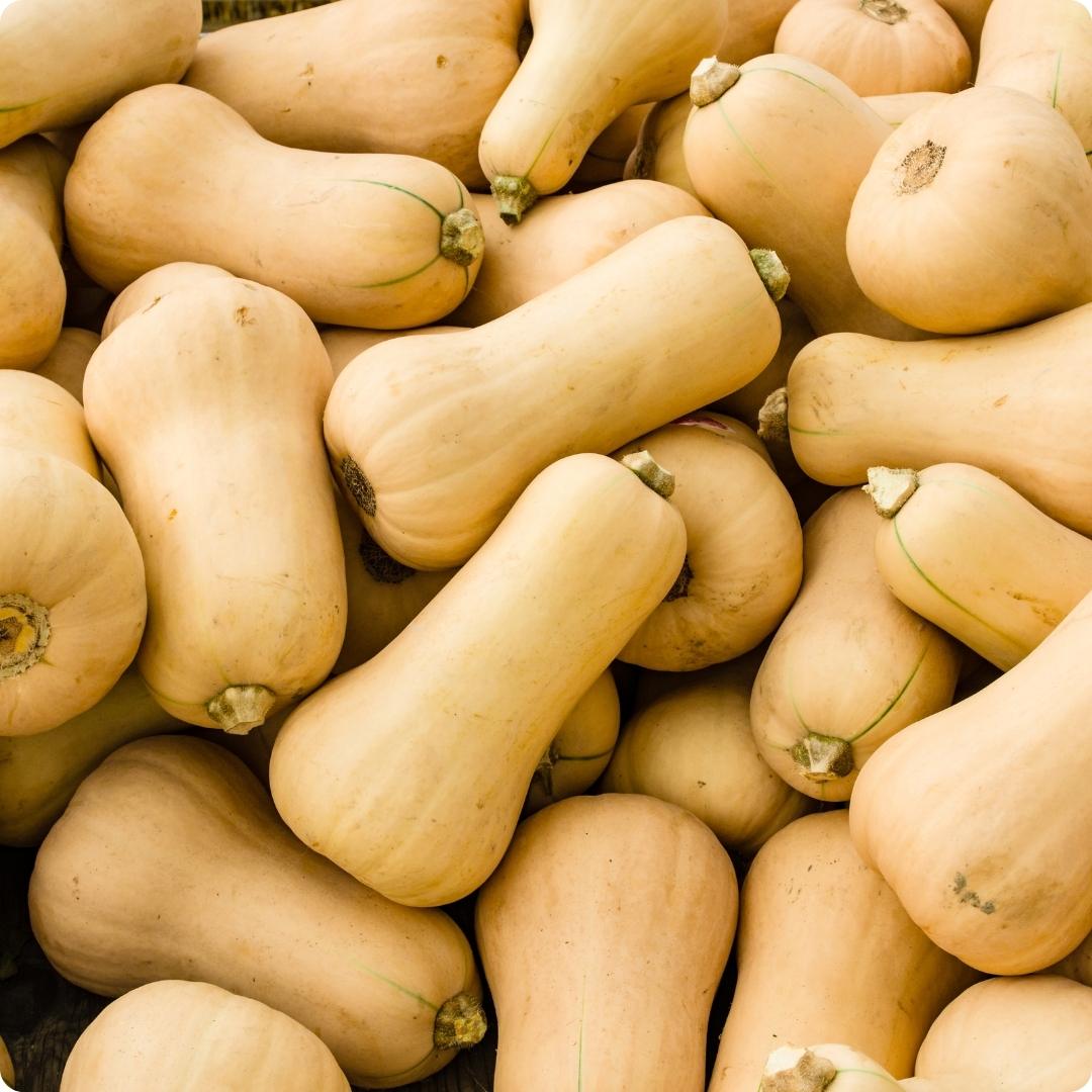bienfaits courge butternut