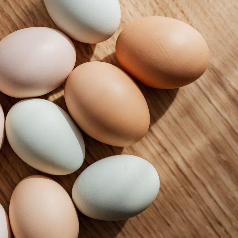 Où trouver du fer dans son alimentation ?