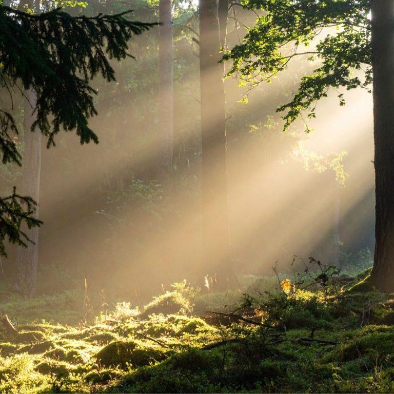 Un rayon de soleil pour le moral
