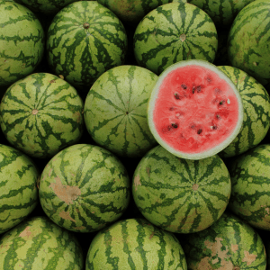 Les aliments les plus hydratants à mettre au menu en août