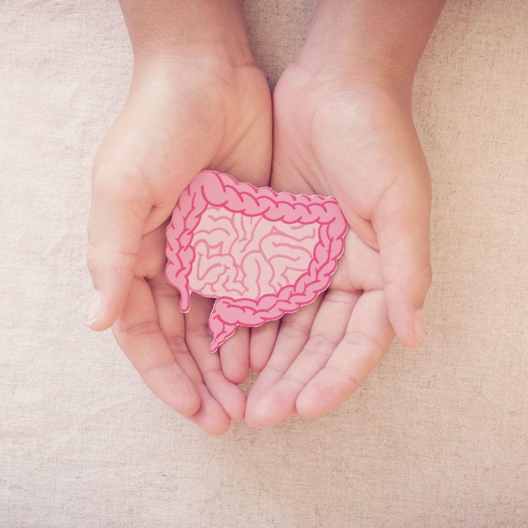 Microbiote intestinal : qu’est-ce que c’est et quel est son rôle ?