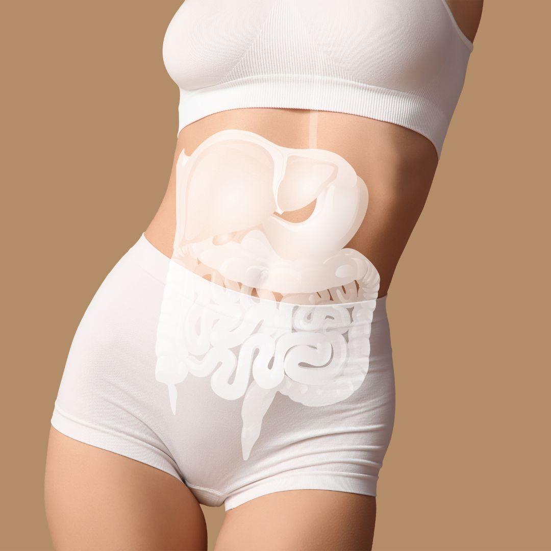 Microbiote intestinal : qu’est-ce que c’est et quel est son rôle ?